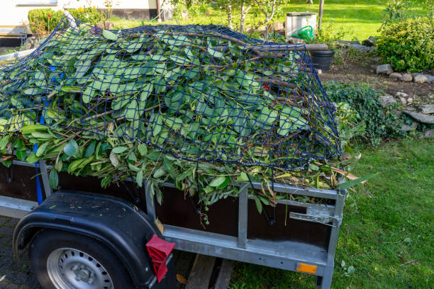 Recycling Services for Junk in Victoria, MS